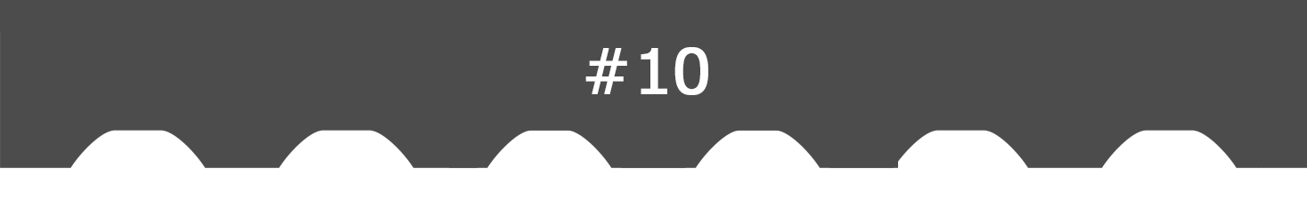 scallop-10