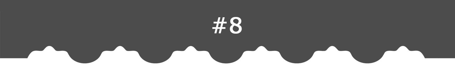scallop-8